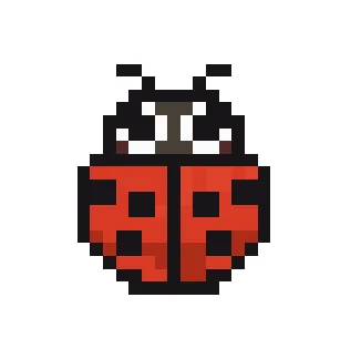 Coccinelle V2