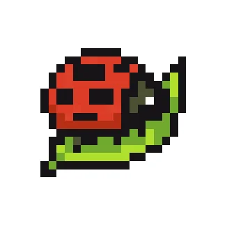 Coccinelle V4