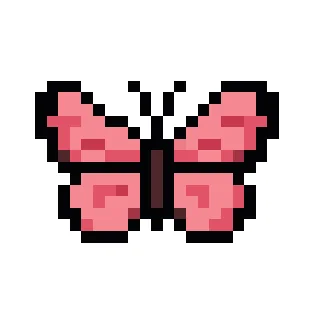 Papillon Rose V1