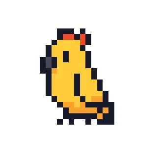 Perroquet Cockatiel V1