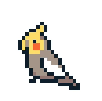 Perroquet Cockatiel V2