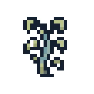 Haricot V1